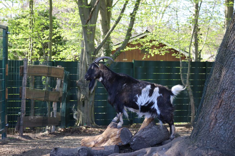 Sie ist auf dem Gipfel in Bullerb&uuml;